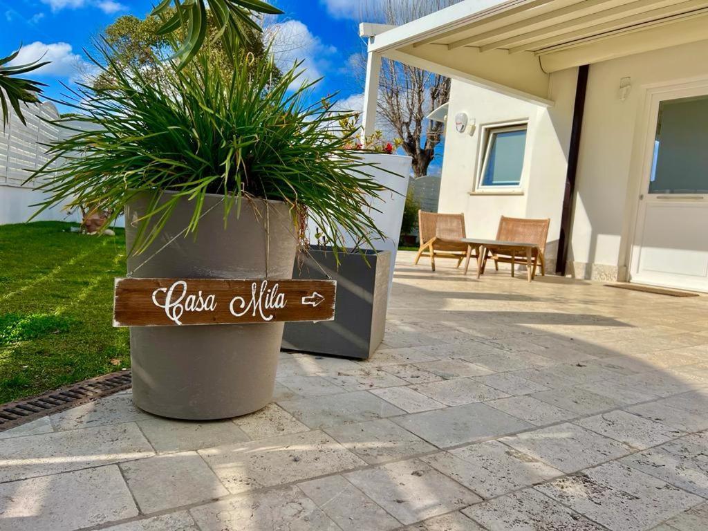 Casa Mila White Villa Marina di Cerveteri Ngoại thất bức ảnh